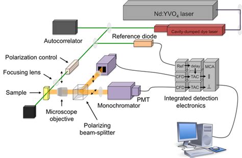 TCSPC Spectroscopy 的图像结果