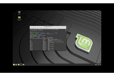 Linux Mint Terminal Tutorial 的图像结果