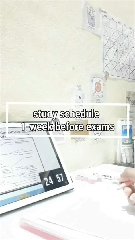 HSC Study Tips 的图像结果