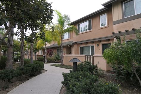 Dahlia The Sf Housing Portal at Tristan Wilkin blog