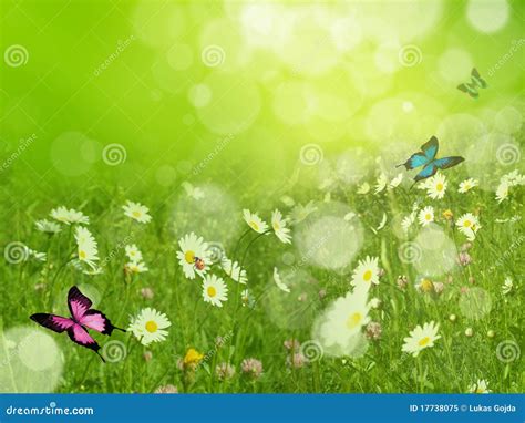 Image result for Fresh Spring Weather