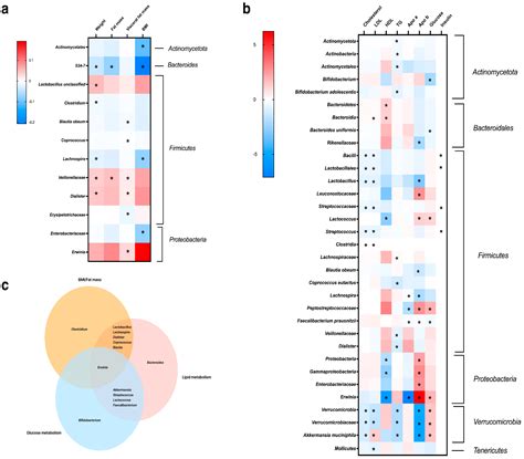 Diet and the Gut Microbiome as Determinants Modulating Metabolic ...