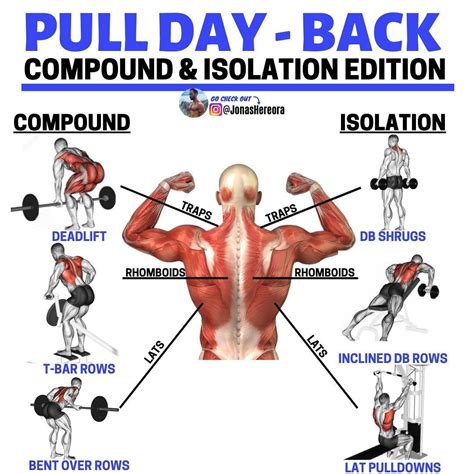Image result for Different Back Workouts