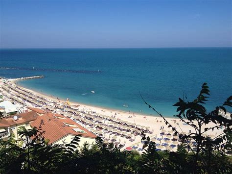 HOTEL BELLAVISTA (Numana) - Hotel Reviews & Photos - Tripadvisor
