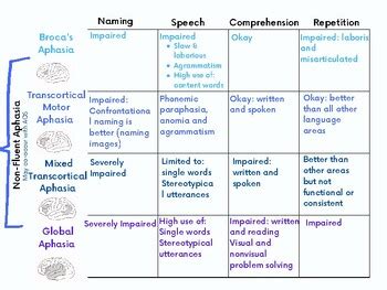 Image result for Aphasia Types Chart Fluent