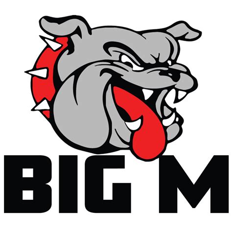 Working with Big M Transportation | CDLLife