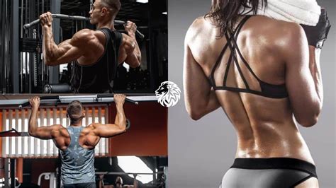 Image result for Different Back Workouts