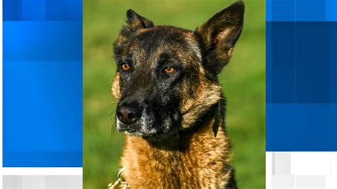 Community reacts to gag order hearing in capital murder case against ...