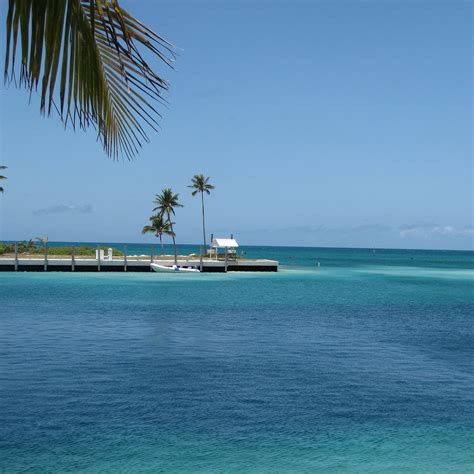 CAPE ELEUTHERA DIVERS (2026) All You Need to Know BEFORE You Go (with ...