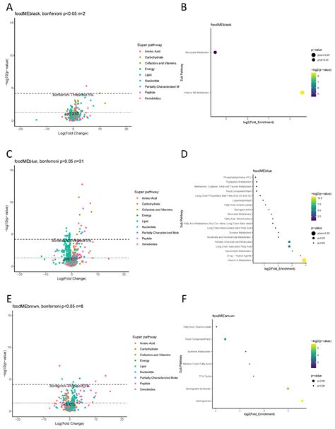 Maternal Diet Associates with Offspring Bone Mineralization, Fracture ...