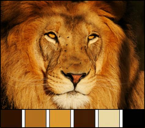 "Majestic Lion Palette" This majestic lion is the inspiration for an ...