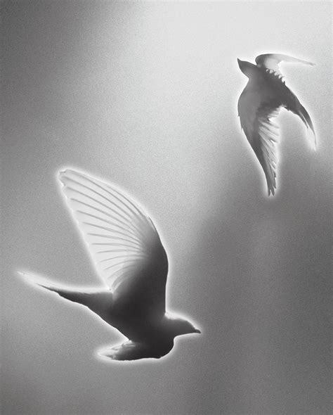 Baskara Putra / Hindia | Doves, ‘25 on Blank Canvas. Sebuah mixtape ...