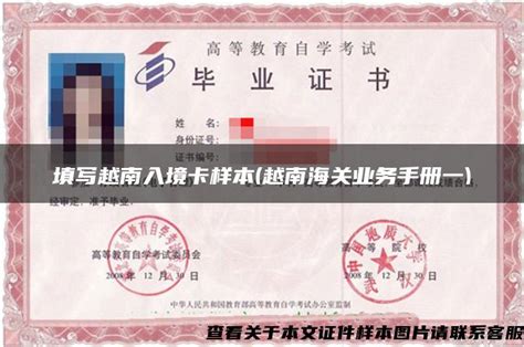 越南签证照片尺寸要求及手机自拍证件照方法 - 哔哩哔哩