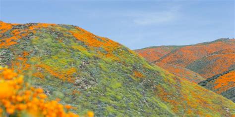 Pathways to Carbon Neutrality in California | Stanford Center for ...