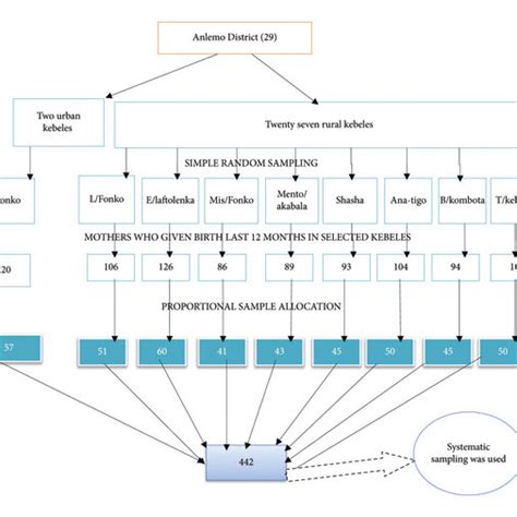 Image result for Sampling Procedure and Sample
