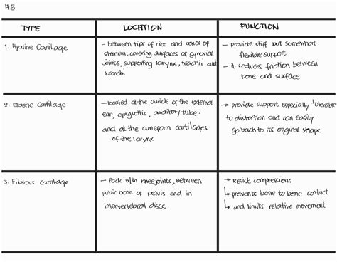 [Solved] 1. What distinguishes connective tissues from other tissues? 2.... | Course Hero