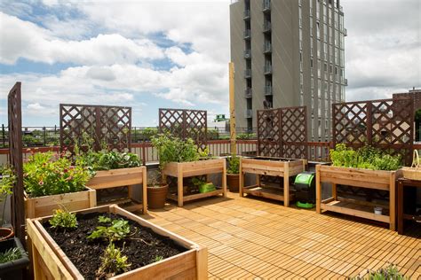 How To Create An Urban Rooftop Garden - TrendRadars