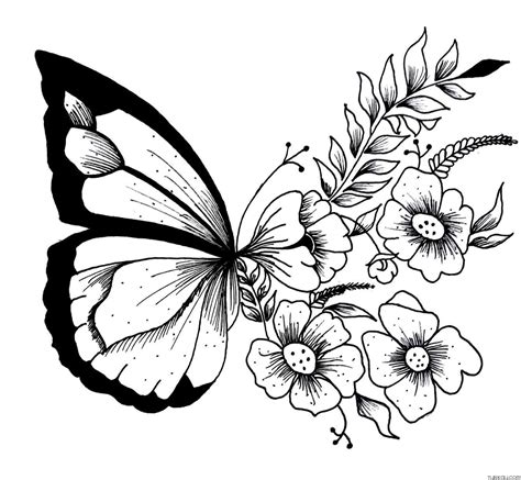 Aesthetic Animal Butterfly Coloring Page » Turkau