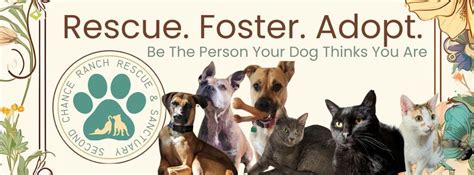 Bethany Crossroads Food Truck Festival, 7064 Maxwell Rd Stedman, NC, 27 ...