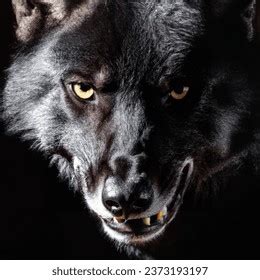 Hungry 的图像结果