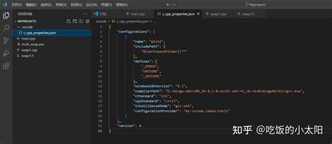 Setting JSON CMake Vscode 的图像结果