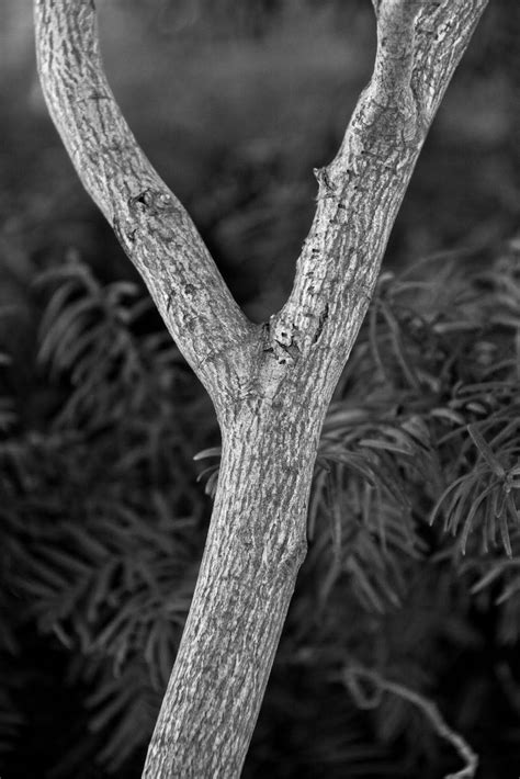 Alphabet Photography Letters, Letter Art Photography, Alphabet Photos, Photo Letters ...