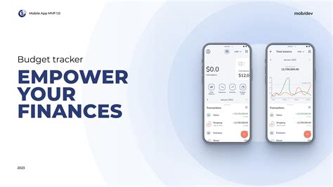 Buget Tracker JavaScript App 的图像结果