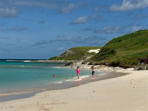 SALT CAY DIVERS (2025) All You Need to Know BEFORE You Go (with Photos ...