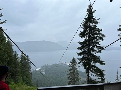 ICY STRAIT POINT ZIPRIDER (2025) All You Need to Know BEFORE You Go ...