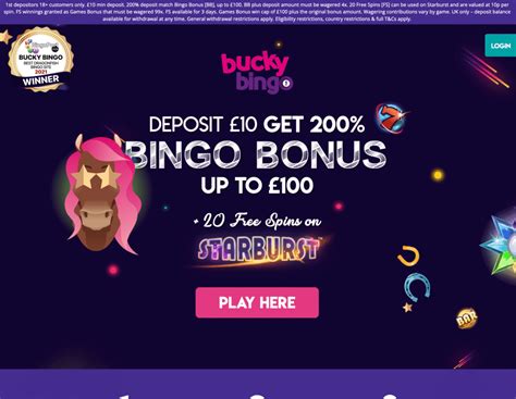bingo 101 trusted platform