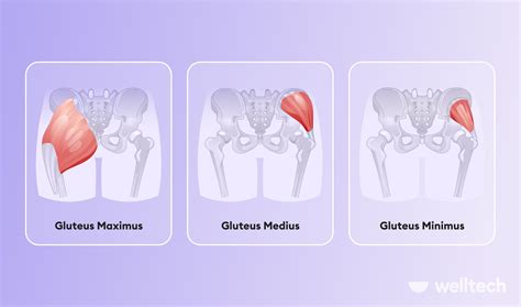 10 Side Glute Exercises [At-Home Workout] - Welltech