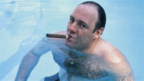 Fans Want HBO Stars in MultiVersus, Including Tony Soprano and John Oliver