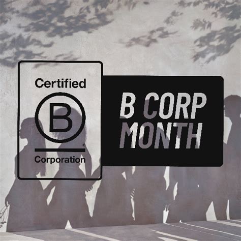 Comb vs. Brush: Unraveling the Tangle of Hair Care - Davines Canada