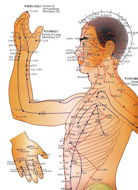 Acupuncture 的图像结果
