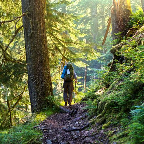 Image result for Green Color Exercise