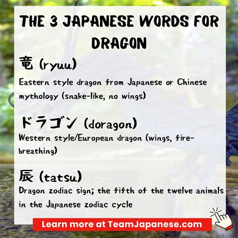 Japanese Dragon Names And Meanings Japanese Word SVG Bundle, Animal