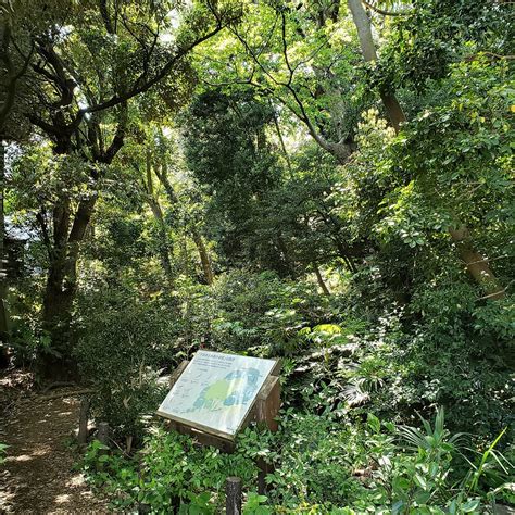 SENDAGI FUREAI NO MORI (2026) All You Need to Know BEFORE You Go (with ...