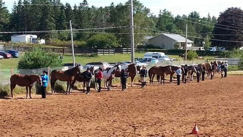 WKCF Light Horse Show, 792 Meadowvale Rd, Tremont, NS B0P, Canada ...