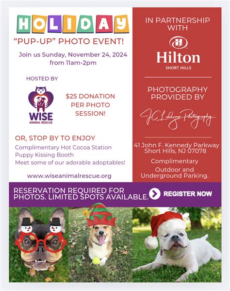 Holiday Pup-up Photo Event | Wise Animal Rescue