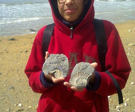 FOSSILWALKS (2025) All You Need to Know BEFORE You Go (with Photos ...