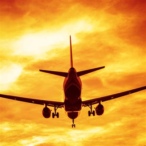 Flight 的图像结果