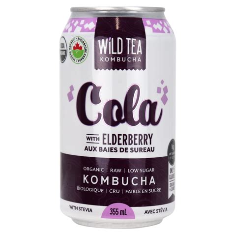 Wild Tea Kombucha Low Sugar Cola Elderberry at Natura Market