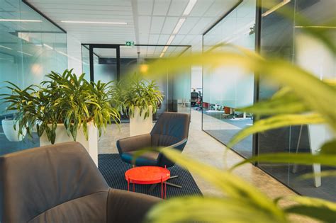 Code 24 的图像结果