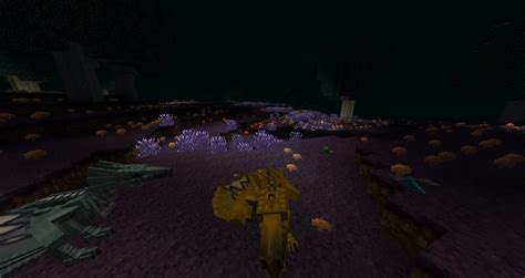 Image result for Mo' Creatures Mo Creatures How to Install