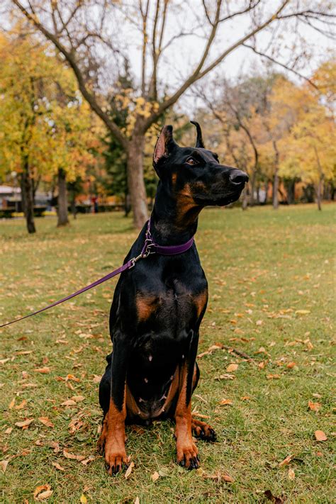 Hot+Tan+Lines+Ladies Photos, Download The BEST Free Hot+Tan+Lines ...