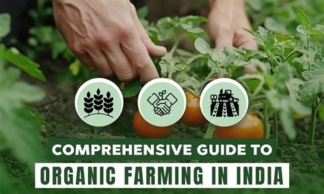 Comprehensive Guide to Organic Farming in India | Types, Practices ...
