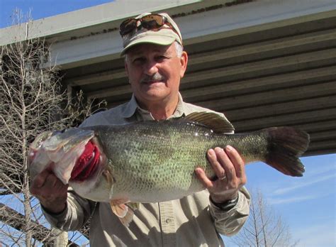 Speckled trout limits change - Texas Hunting & Fishing | Lone Star ...