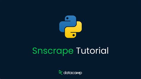 How to Scrap All Images Using Python 的图像结果