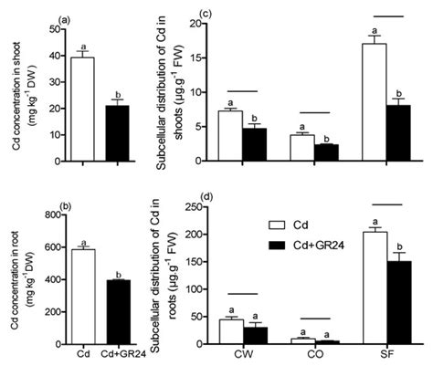 Exogenous GR24 Alleviates Cadmium Toxicity by Reducing Cadmium Uptake ...