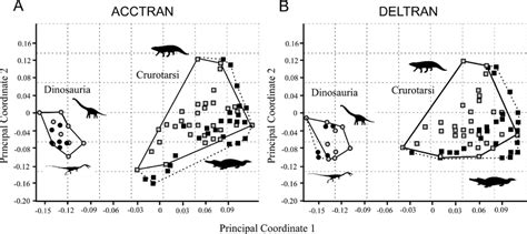 Morphospace Local Optima 的图像结果